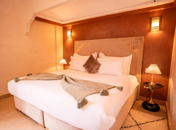 Standard Suite Standard Suite